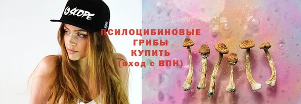 сатива Алексин