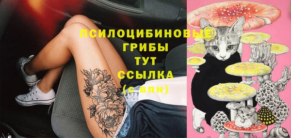 сатива Алексин
