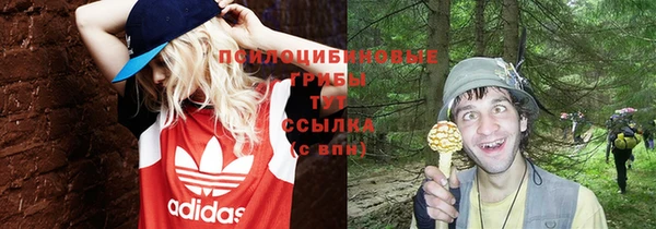 сатива Алексин