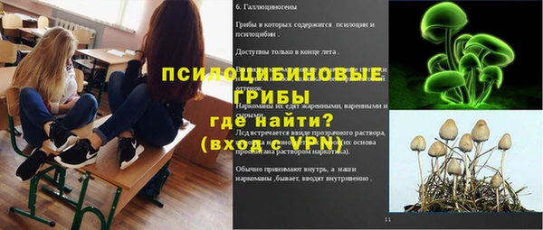 сатива Алексин